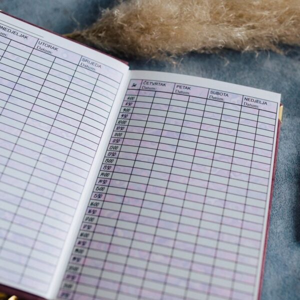 poslovni planer clockme